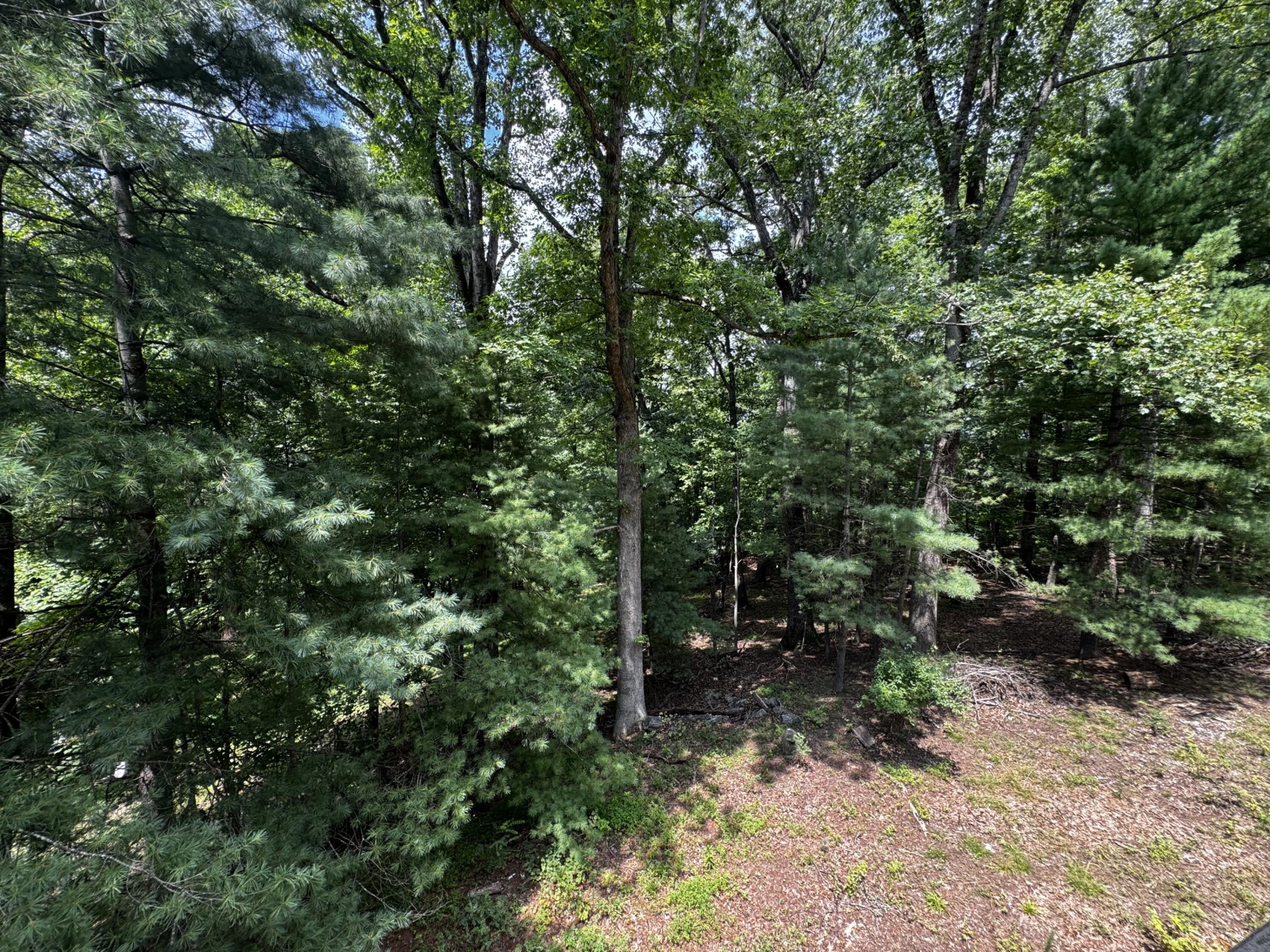 6613 Sylvan Brook RD - Photo 33