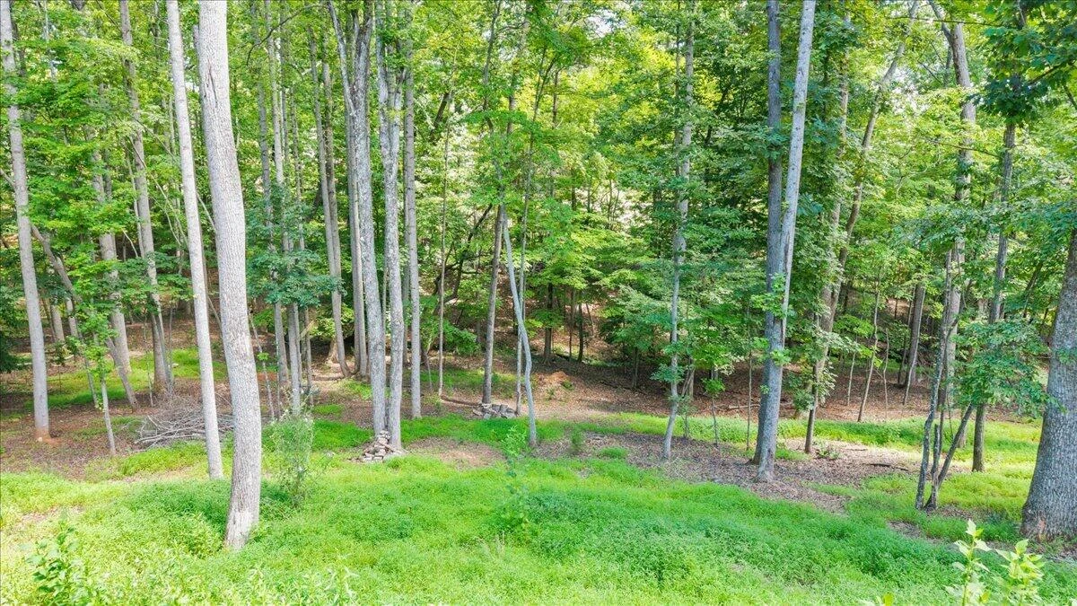 235 Waverly LN - Photo 116