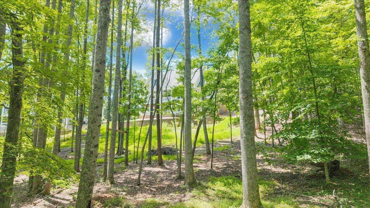 235 Waverly LN - Photo 119