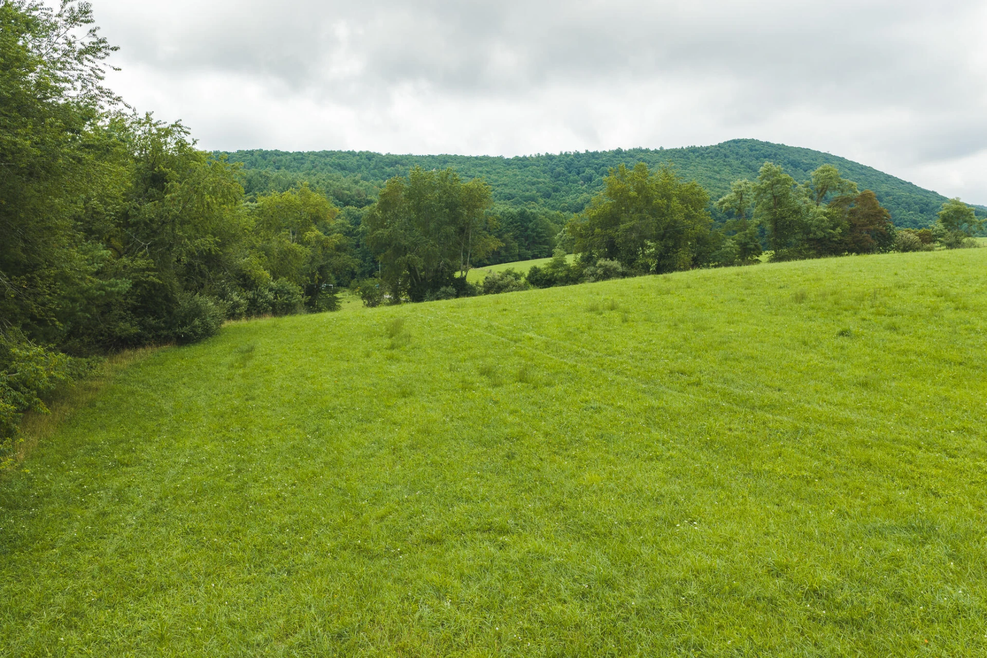 Lot 1 Ridgeview RD NW - Photo 8