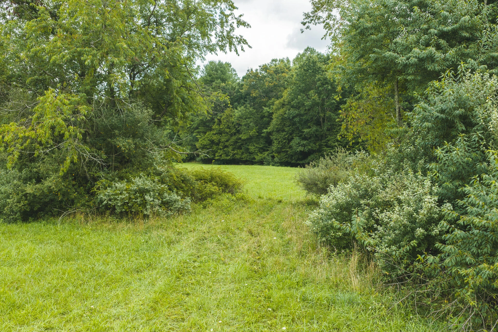 Lot 1 Ridgeview RD NW - Photo 9