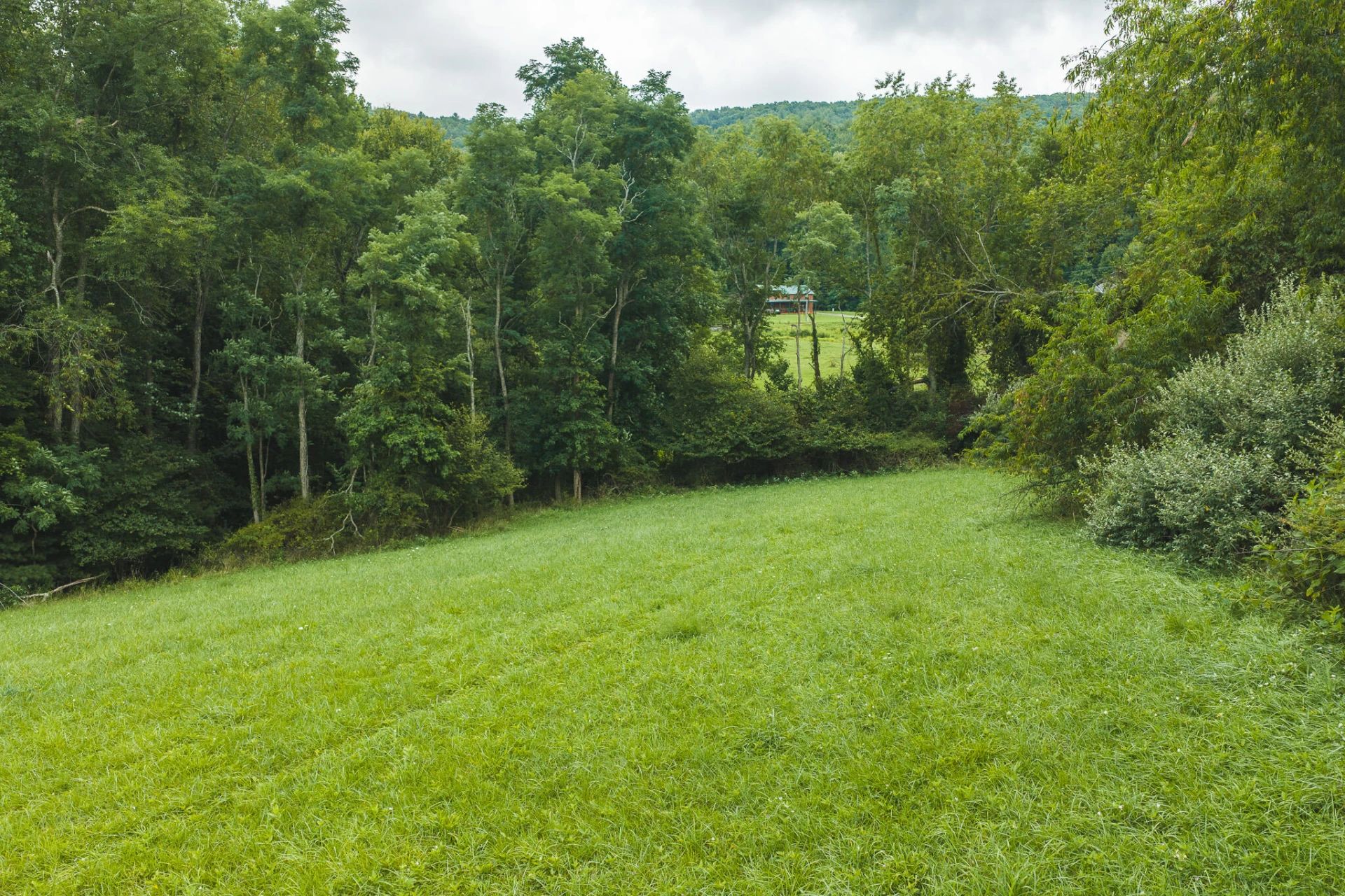 Lot 1 Ridgeview RD NW - Photo 10