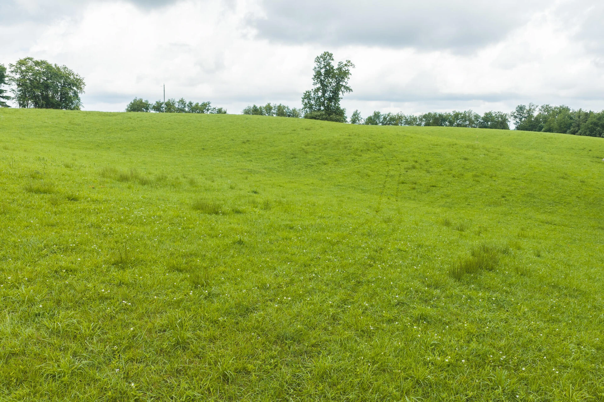 Lot 1 Ridgeview RD NW - Photo 12