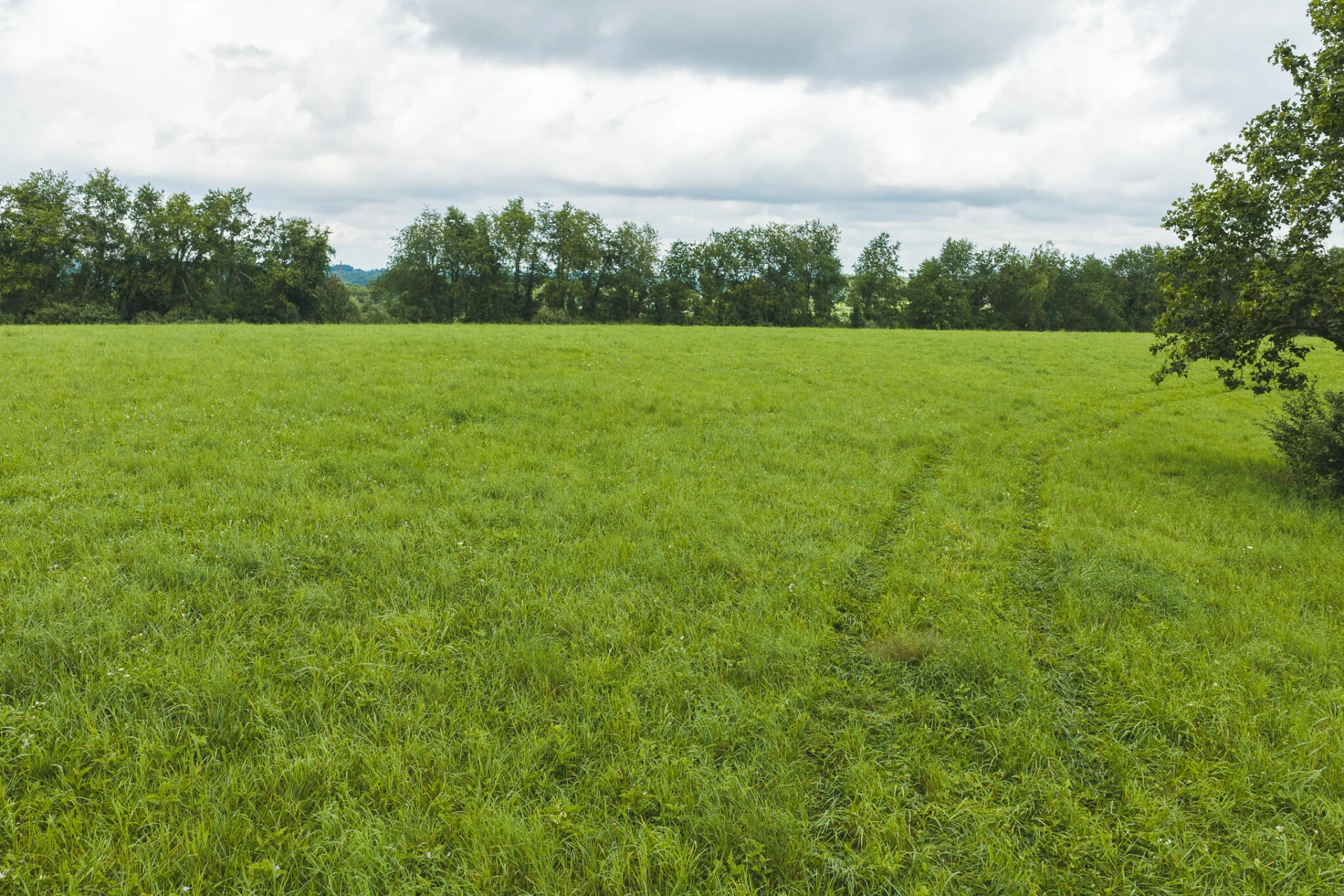 Lot 1 Ridgeview RD NW - Photo 13