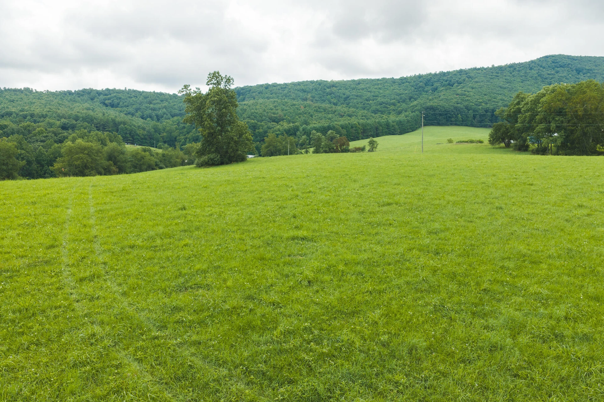 Lot 1 Ridgeview RD NW - Photo 16