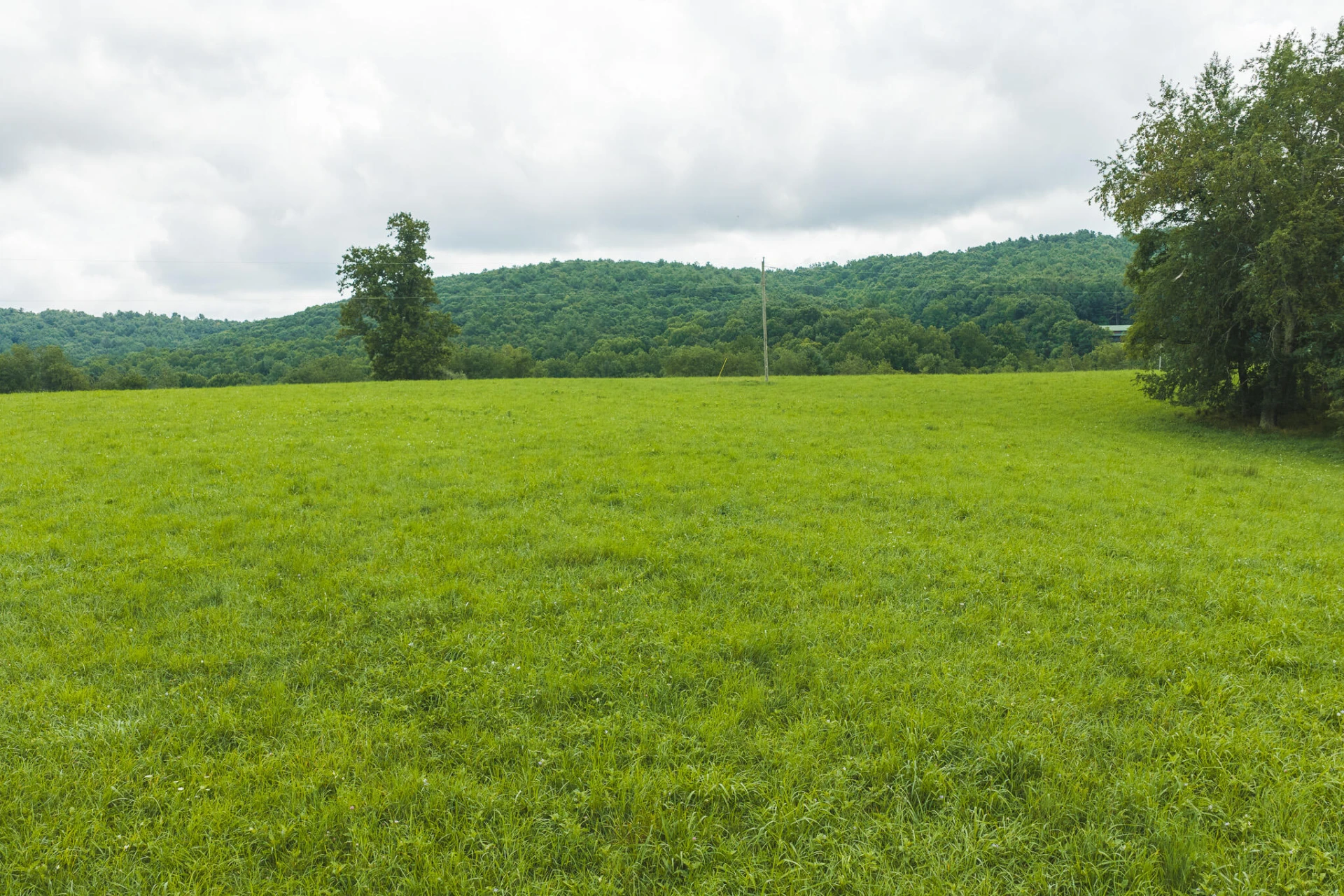 Lot 1 Ridgeview RD NW - Photo 18