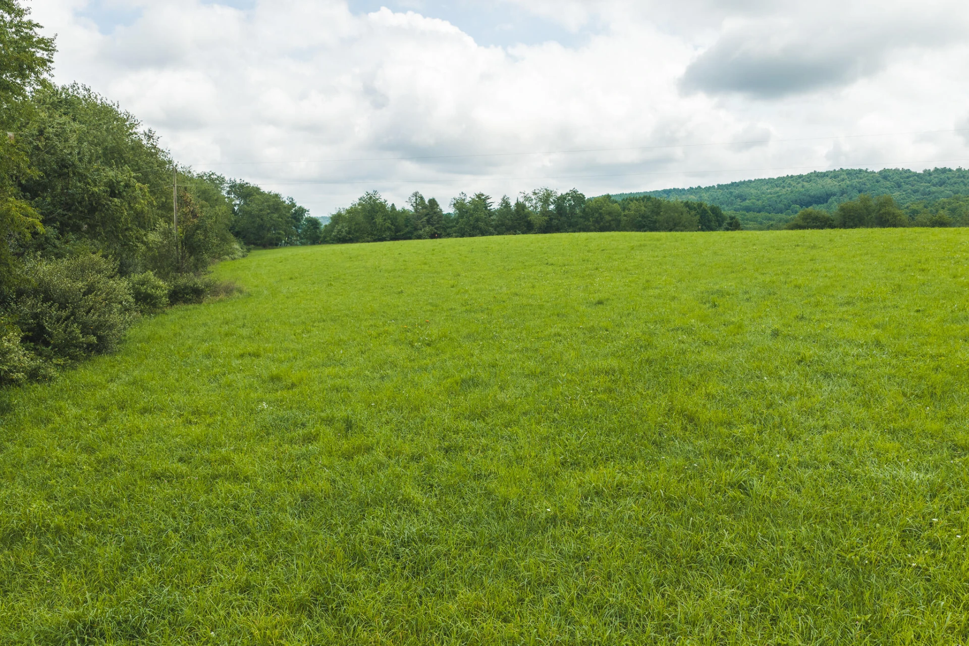 Lot 1 Ridgeview RD NW - Photo 19