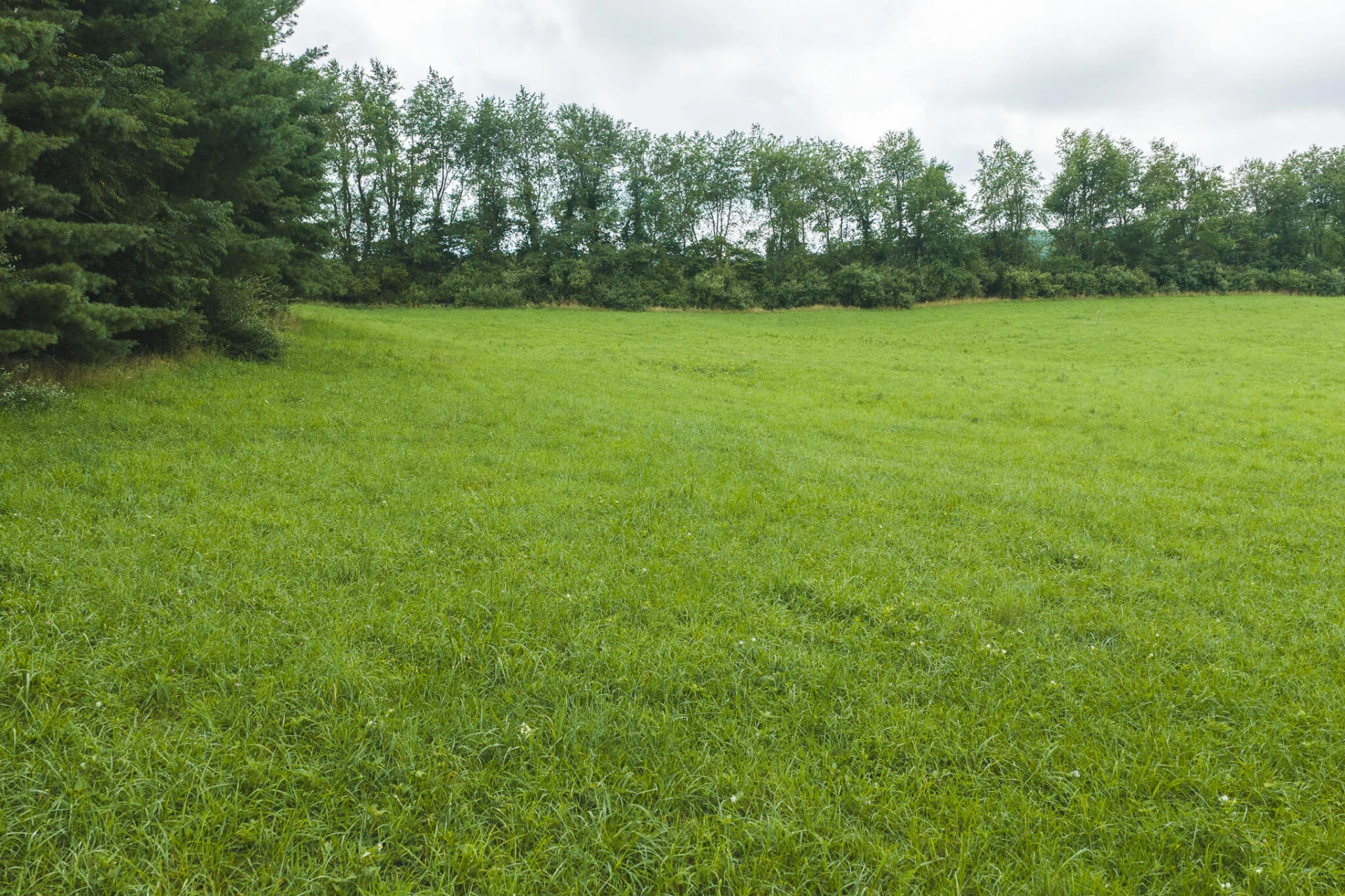 Lot 2 Ridgeview RD NW - Photo 2