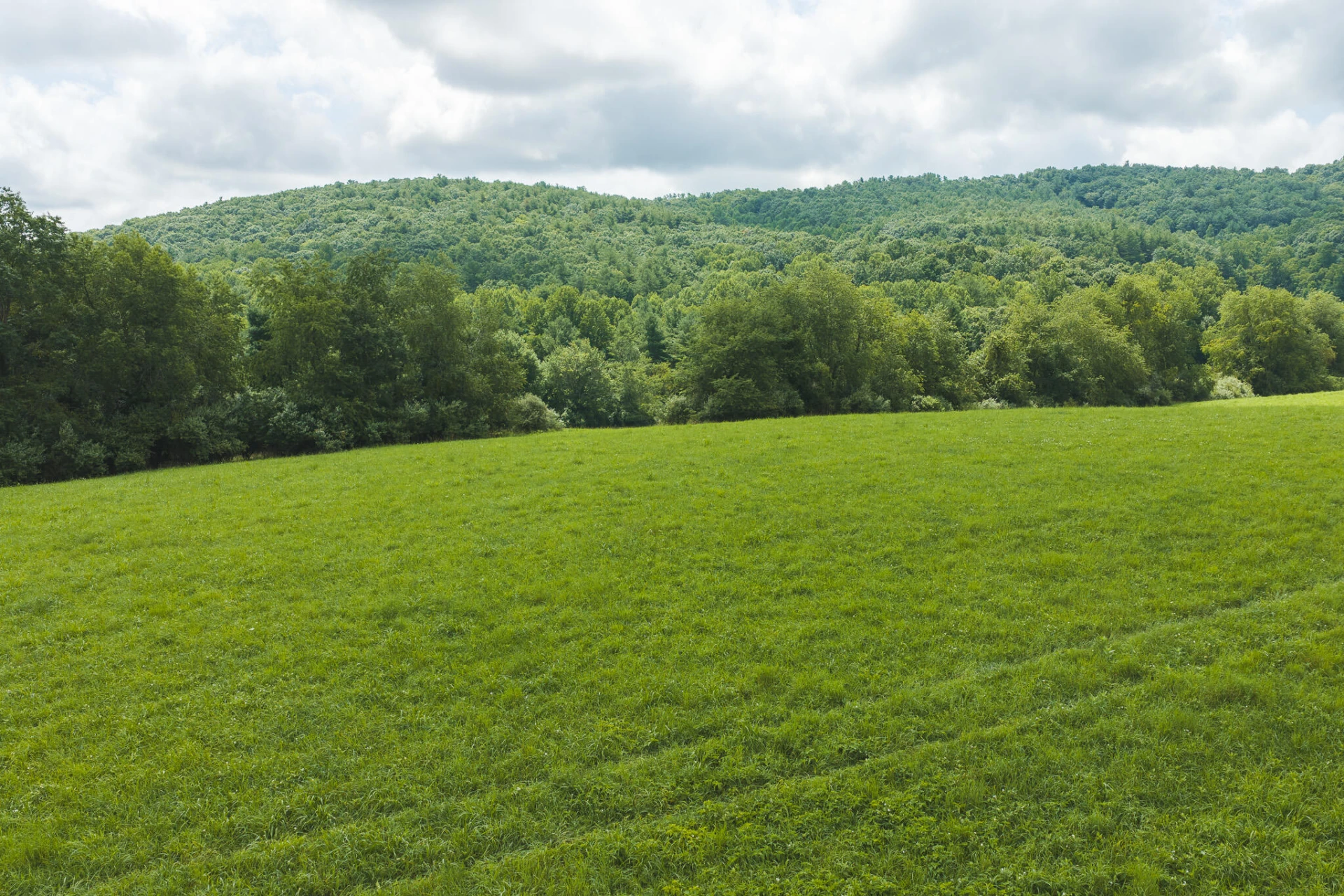 Lot 2 Ridgeview RD NW - Photo 6