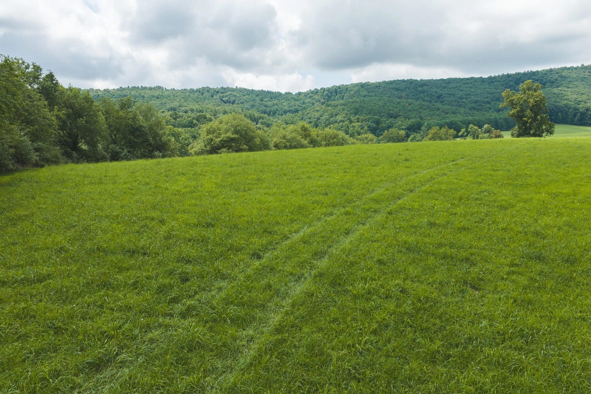 Lot 2 Ridgeview RD NW - Photo 8