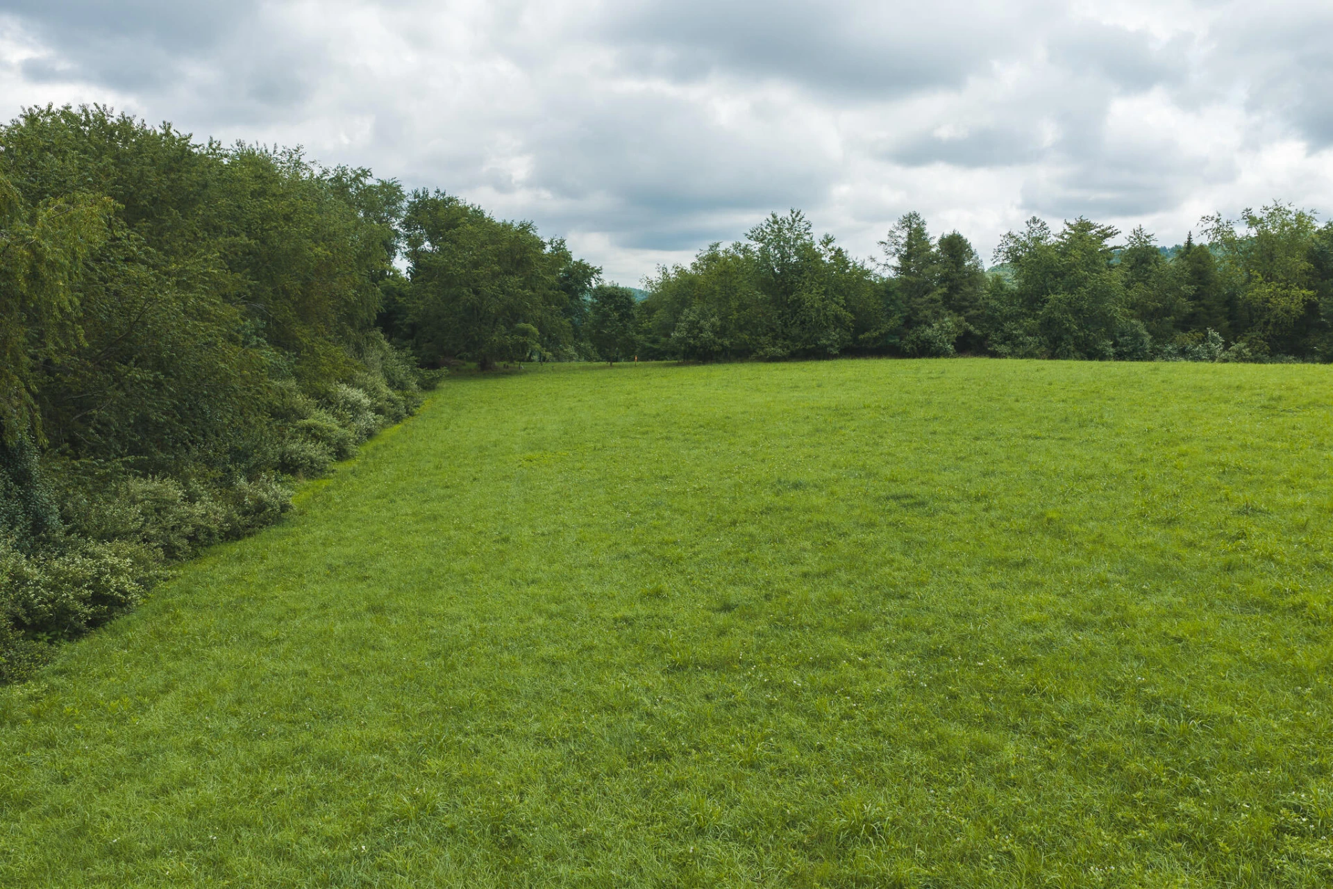 Lot 2 Ridgeview RD NW - Photo 13