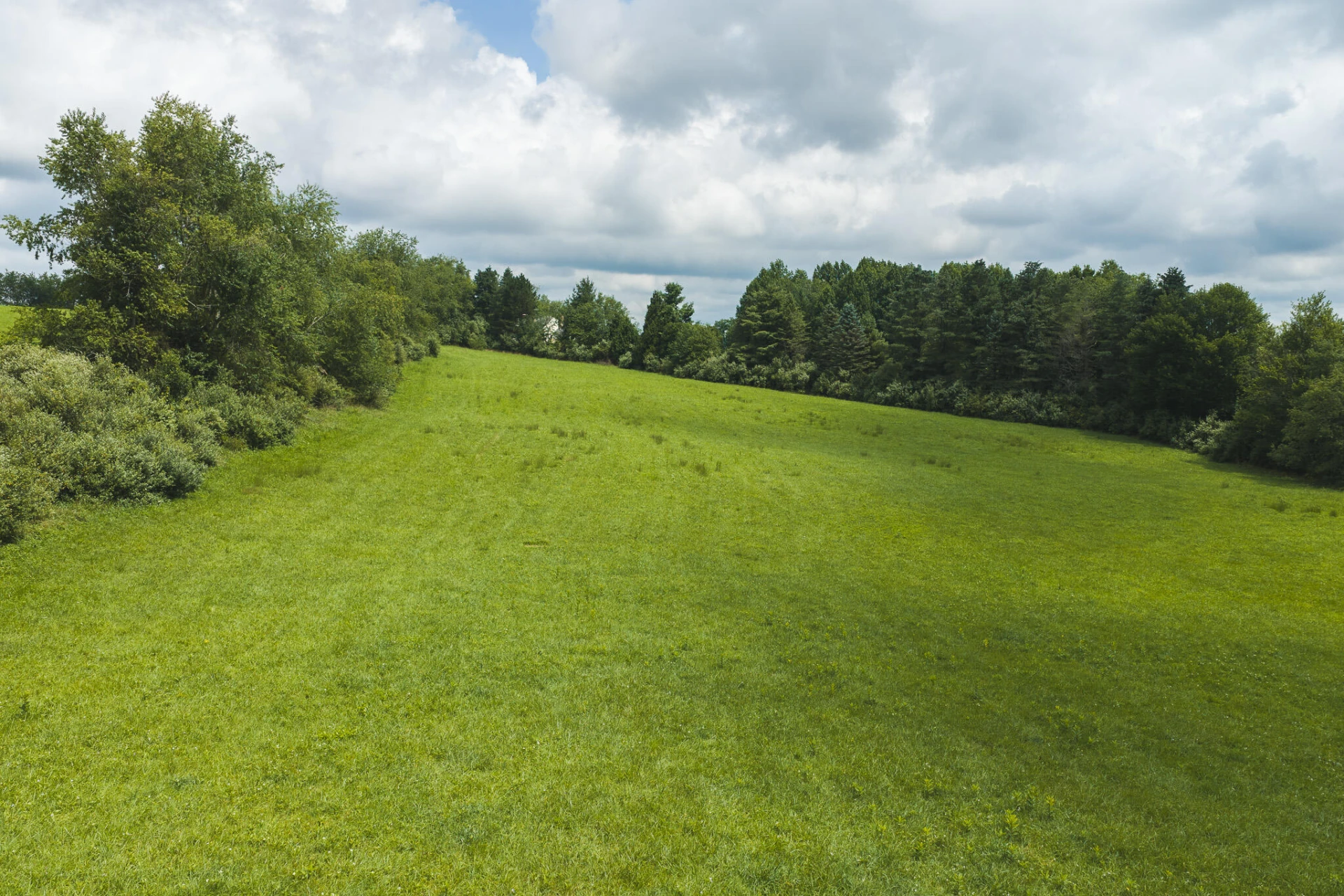 Lot 2 Ridgeview RD NW - Photo 16