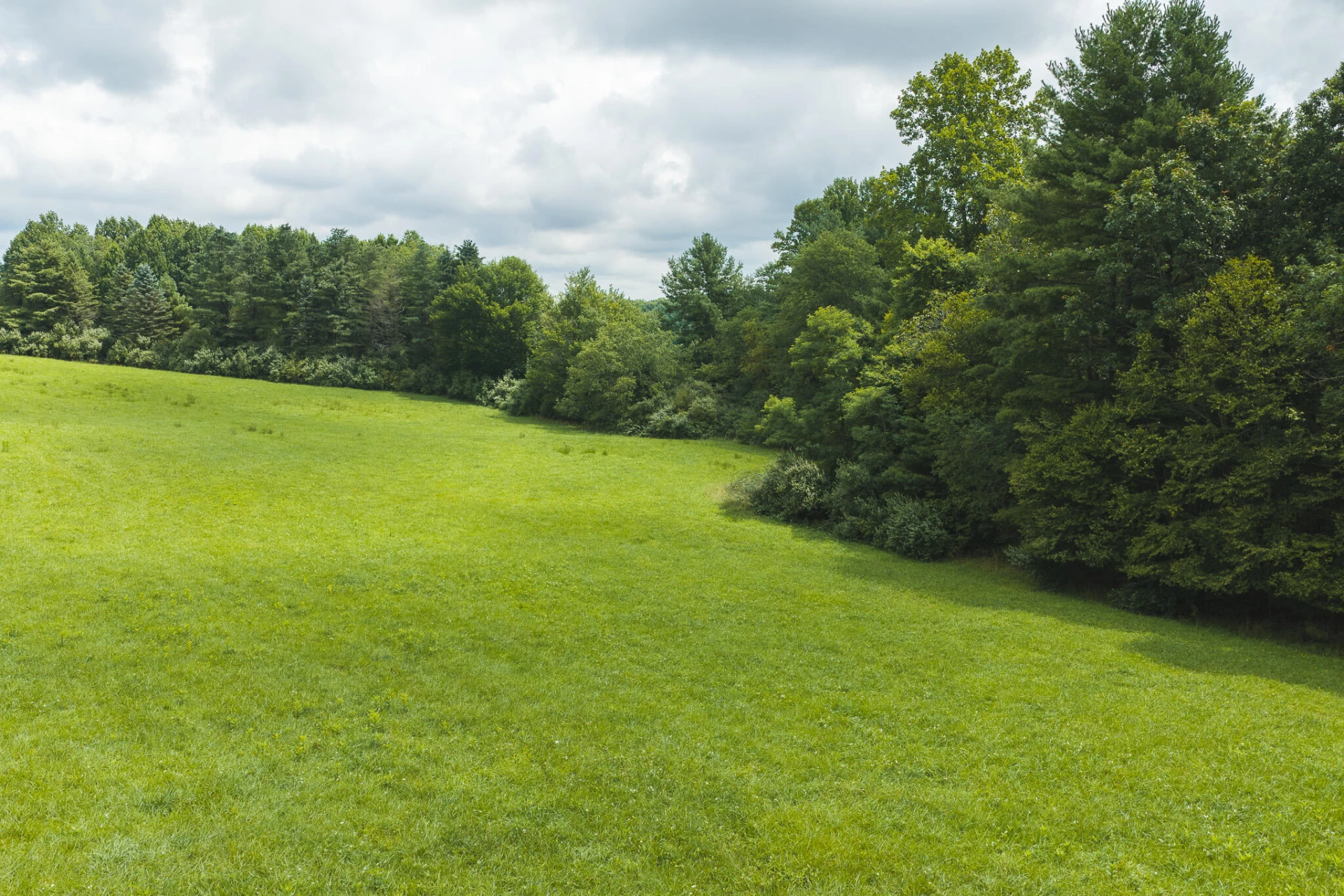 Lot 2 Ridgeview RD NW - Photo 17