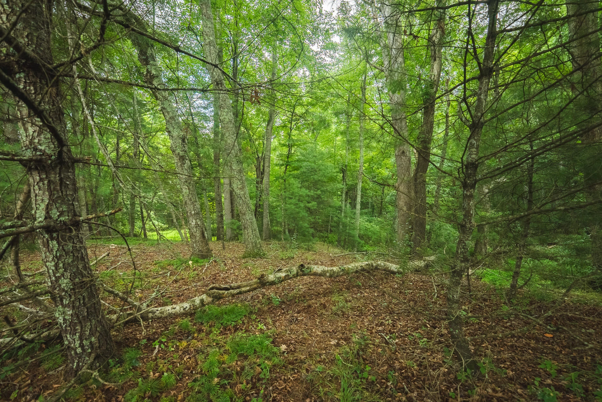 Lot 2 Ridgeview RD NW - Photo 22