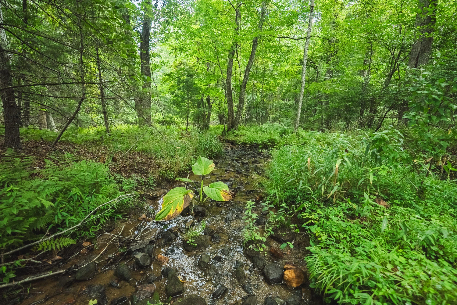 Lot 2 Ridgeview RD NW - Photo 25