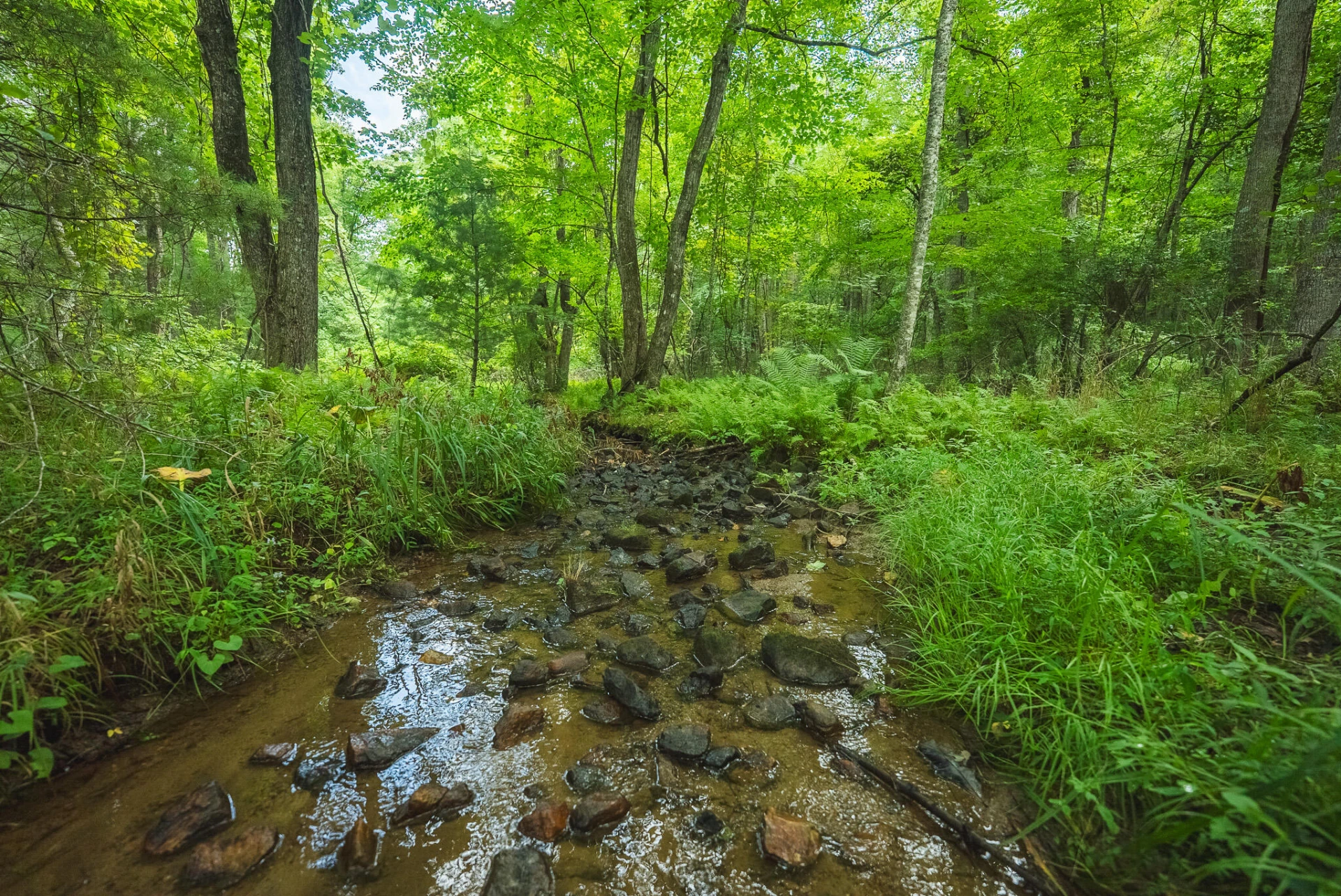 Lot 2 Ridgeview RD NW - Photo 26