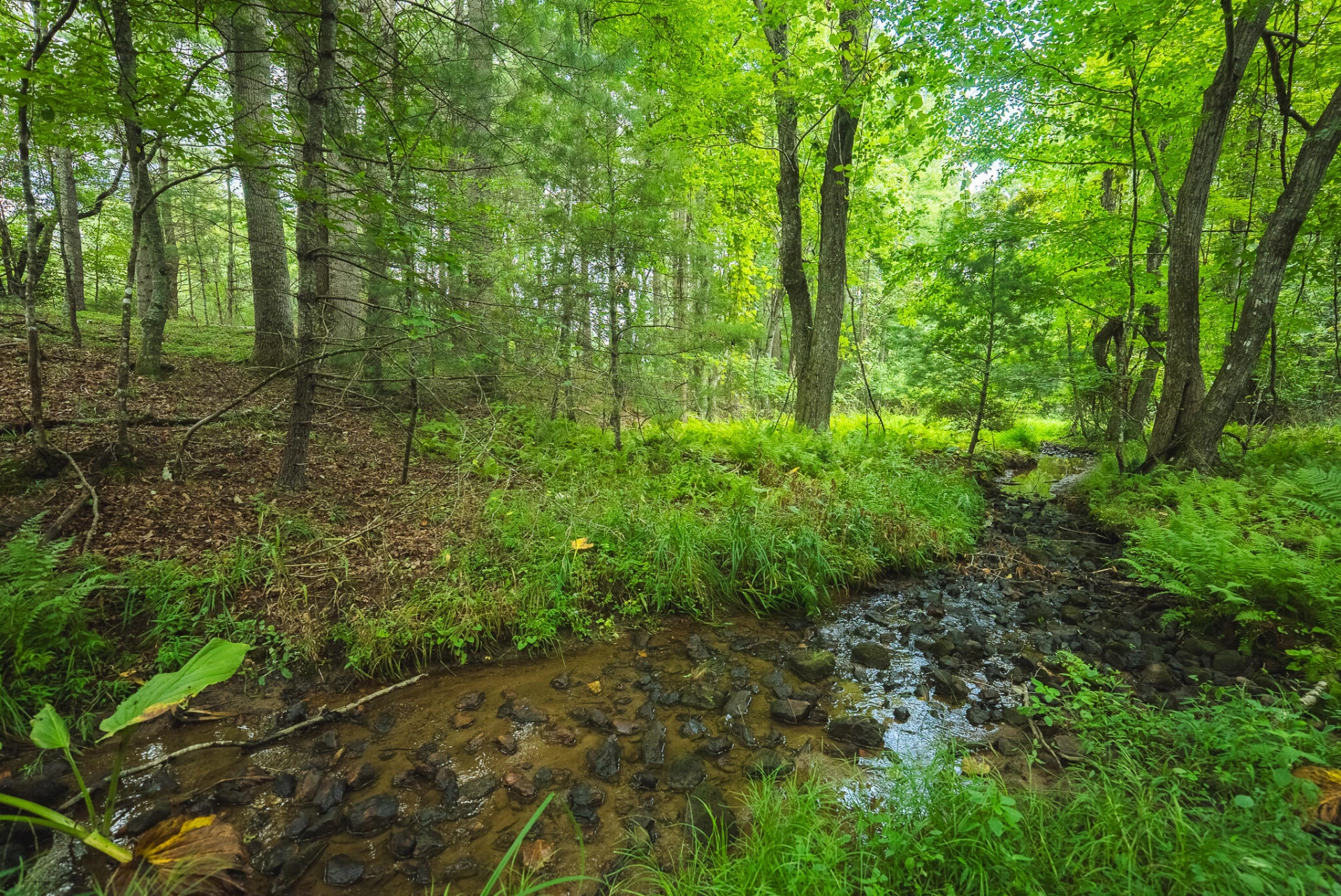 Lot 2 Ridgeview RD NW - Photo 27