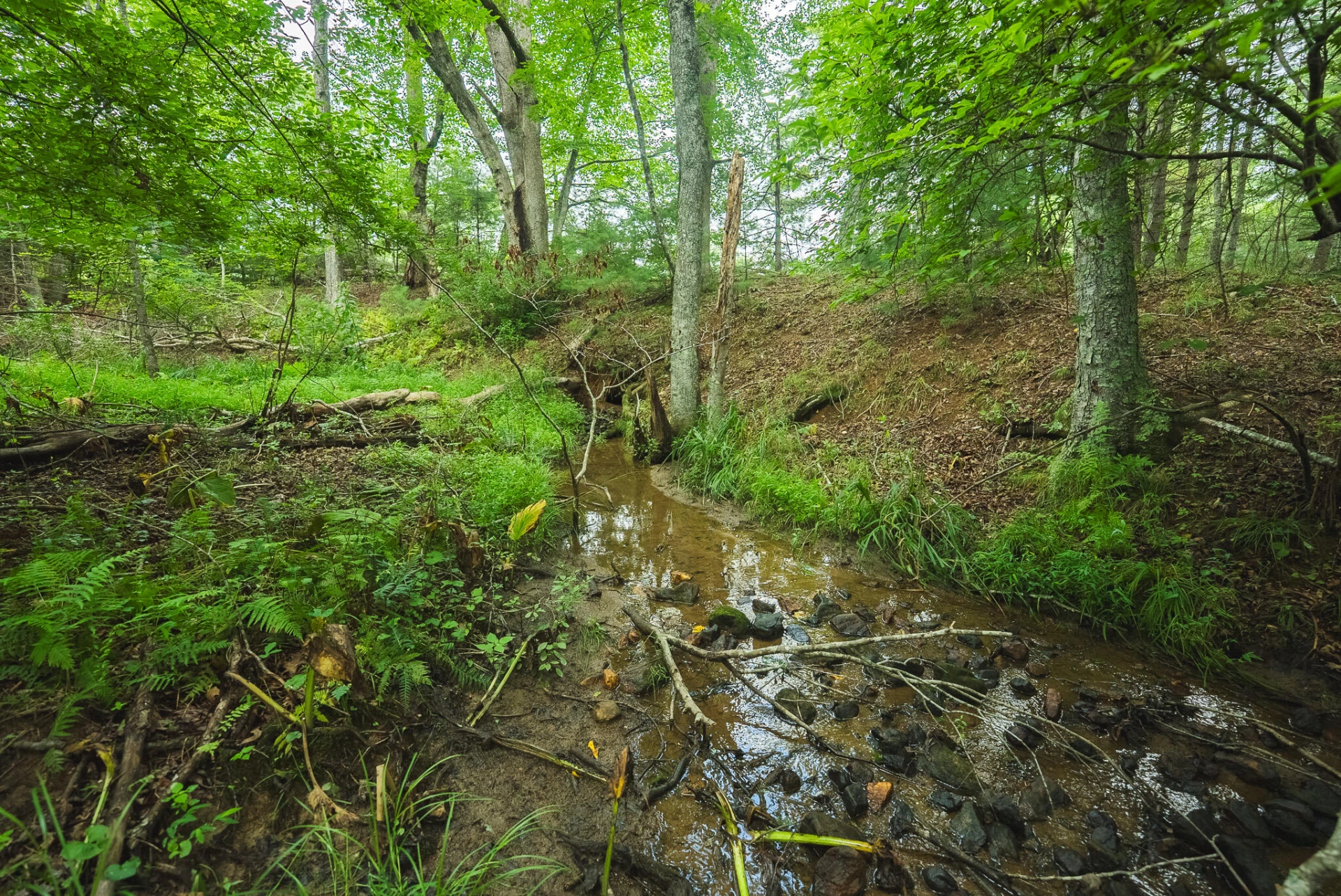 Lot 2 Ridgeview RD NW - Photo 28