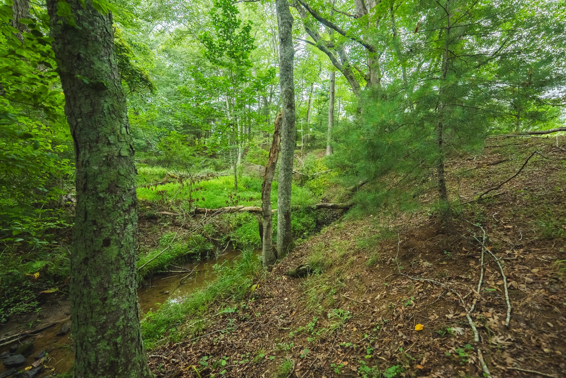 Lot 2 Ridgeview RD NW - Photo 29