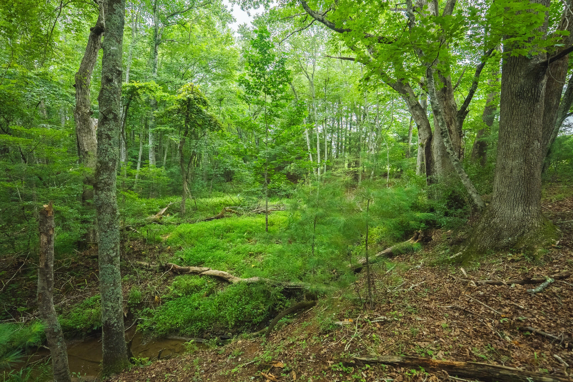 Lot 2 Ridgeview RD NW - Photo 30