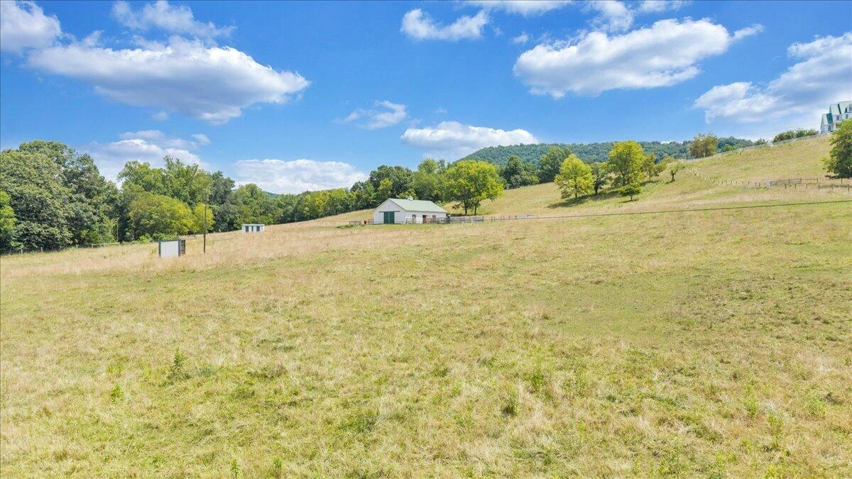 544 Pico RD - Photo 138