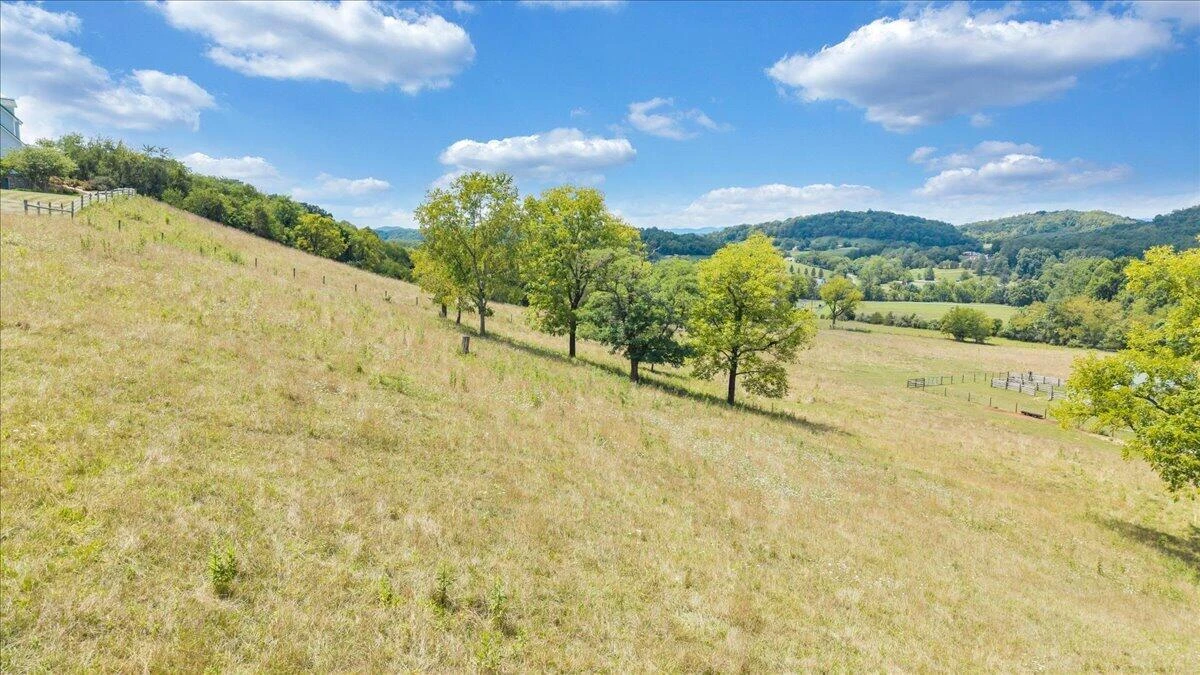 544 Pico RD - Photo 157