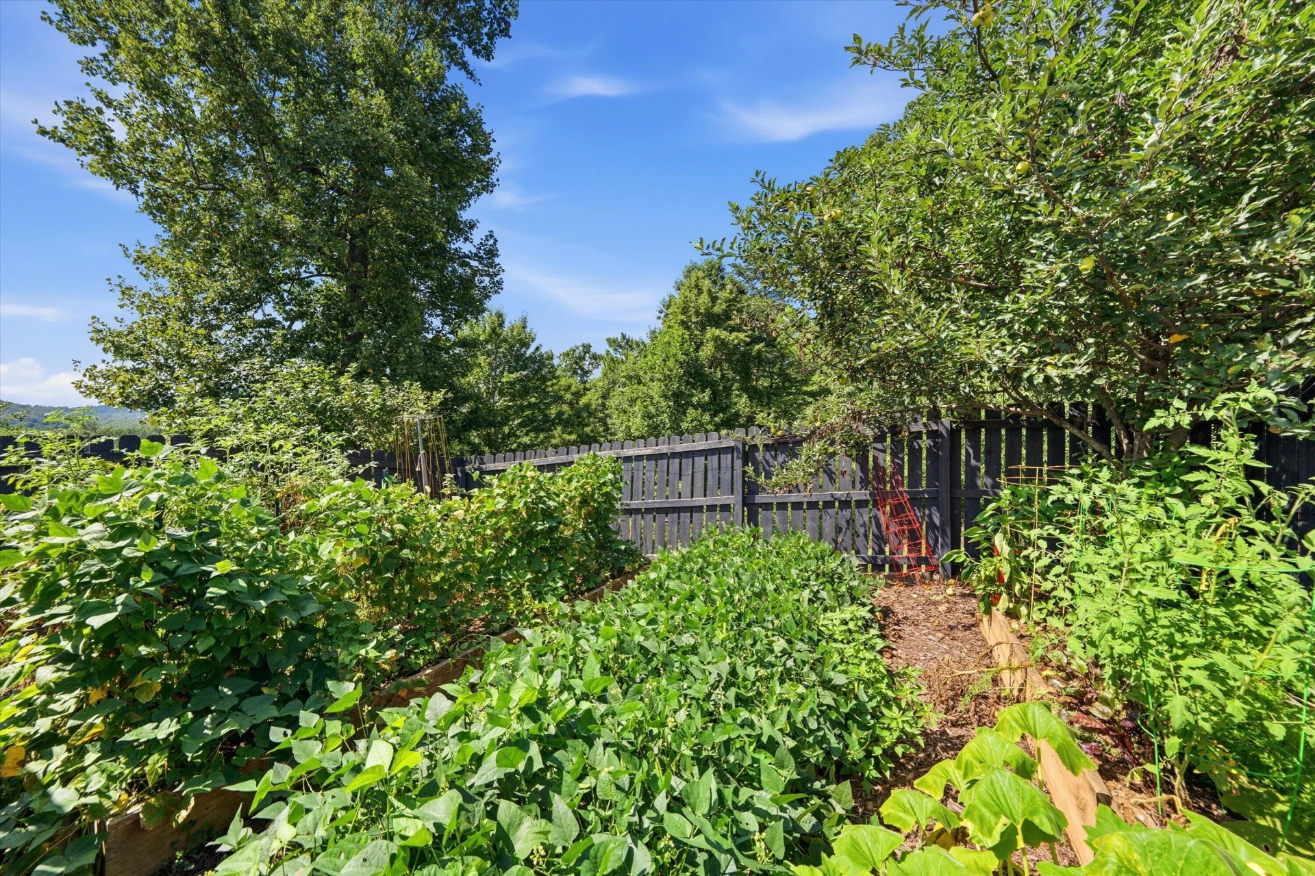 1611 Ivy Branch DR - Photo 55