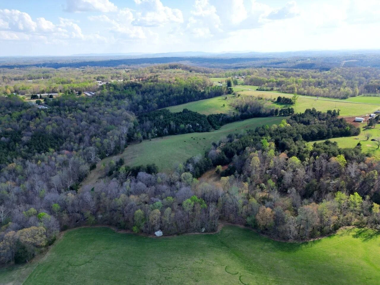 301 Scruggs RD - Photo 2