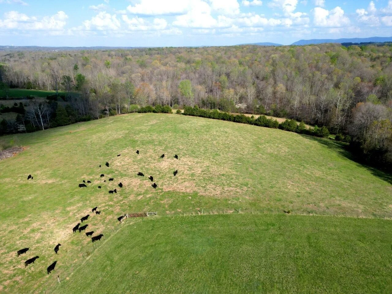 301 Scruggs RD - Photo 3