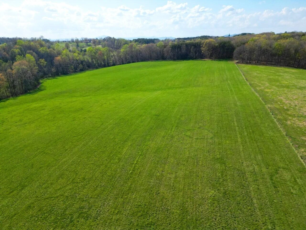 301 Scruggs RD - Photo 4