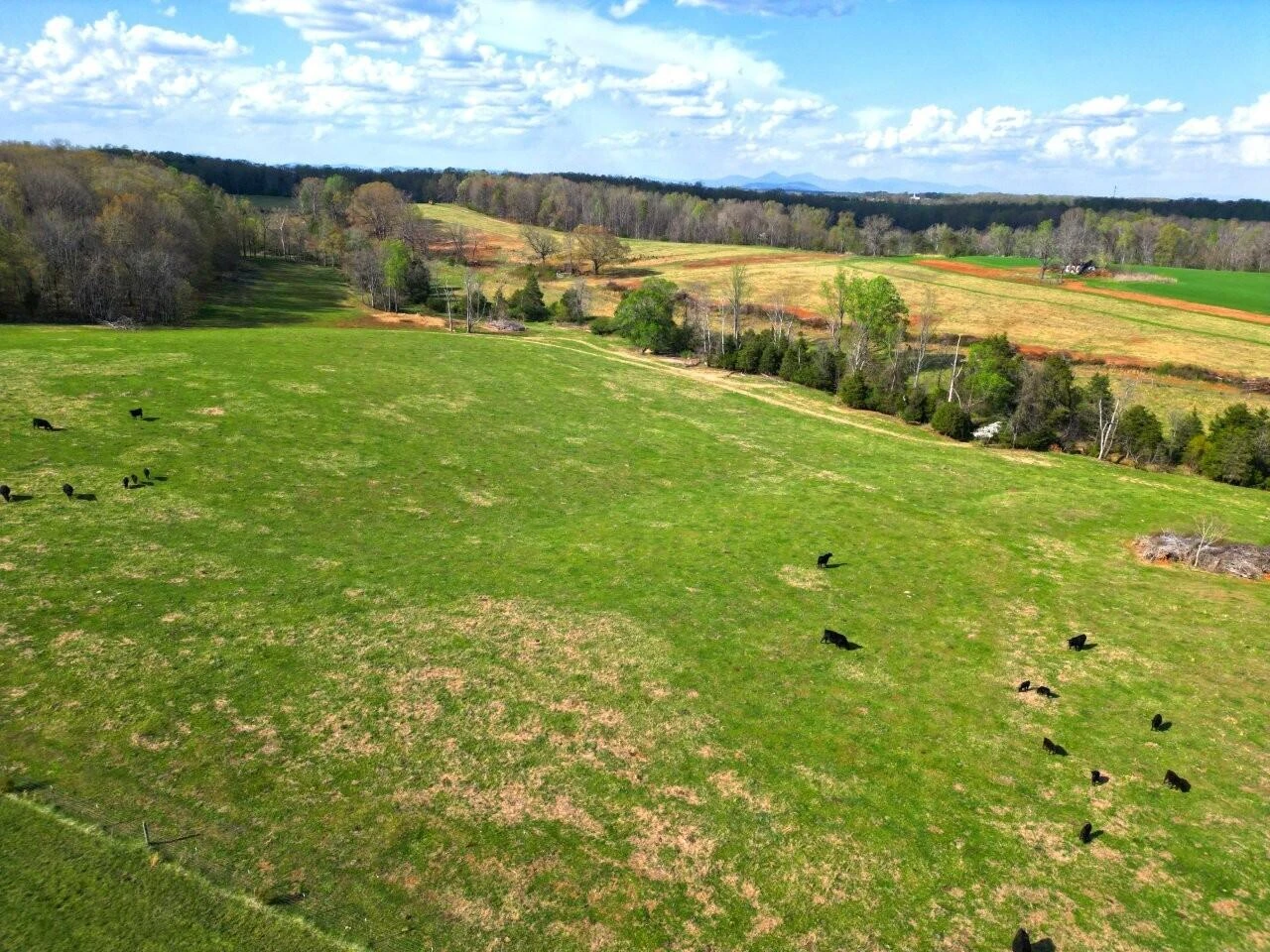 301 Scruggs RD - Photo 5