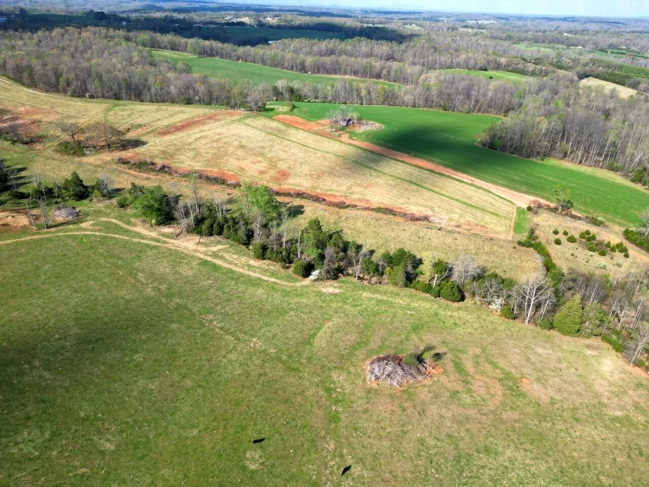 301 Scruggs RD - Photo 6