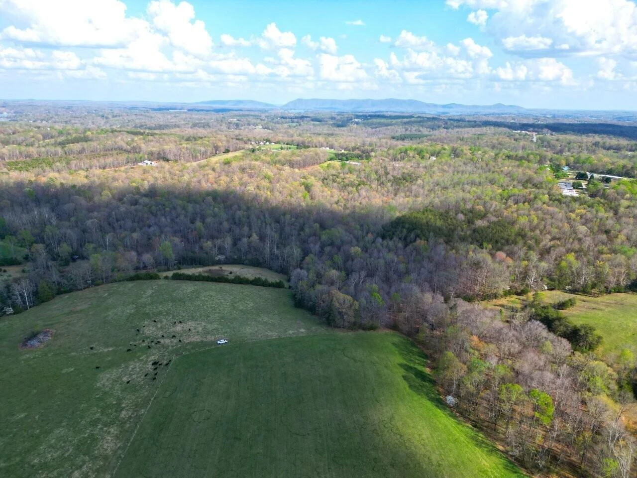 301 Scruggs RD - Photo 8