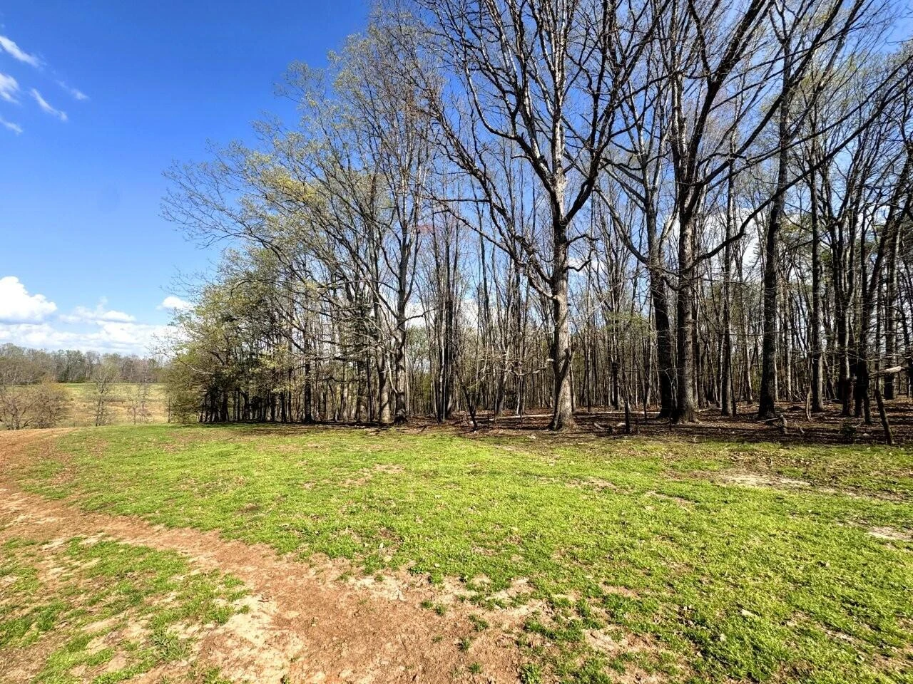 301 Scruggs RD - Photo 10