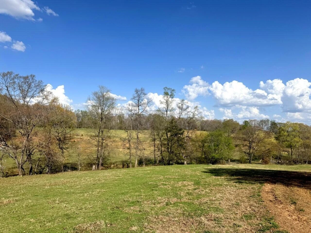 301 Scruggs RD - Photo 11