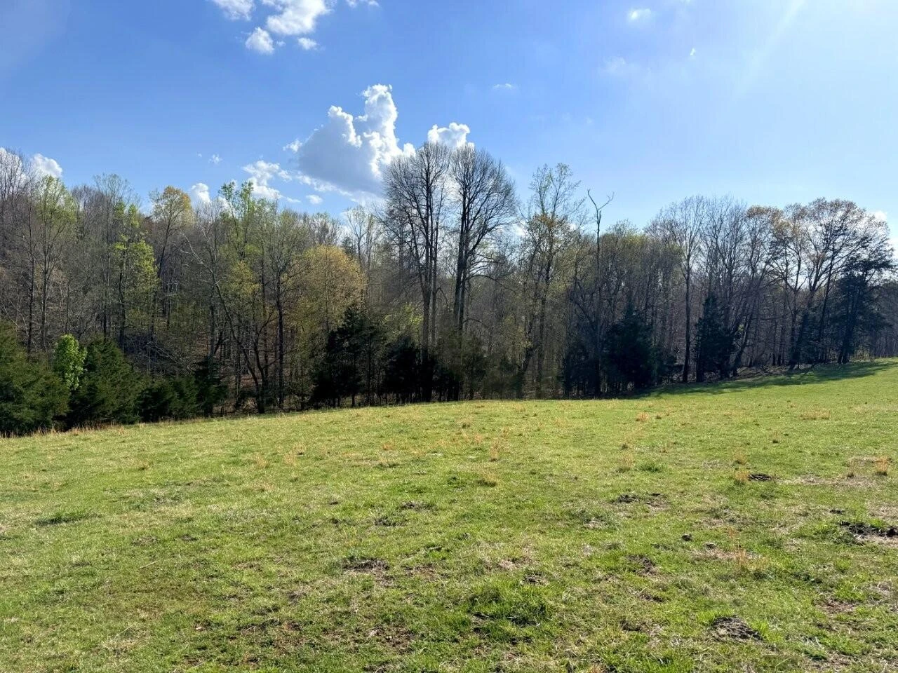301 Scruggs RD - Photo 12