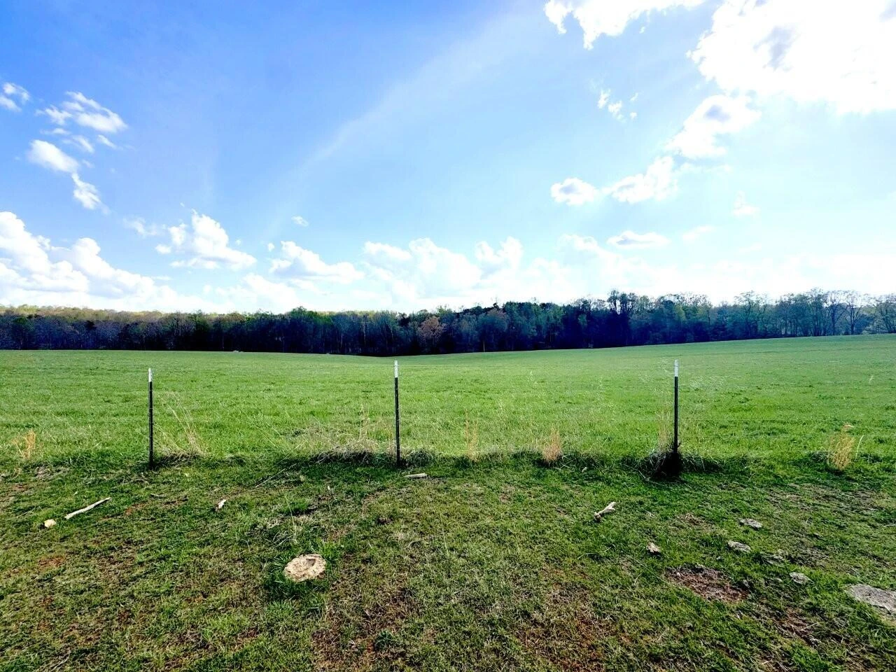 301 Scruggs RD - Photo 13