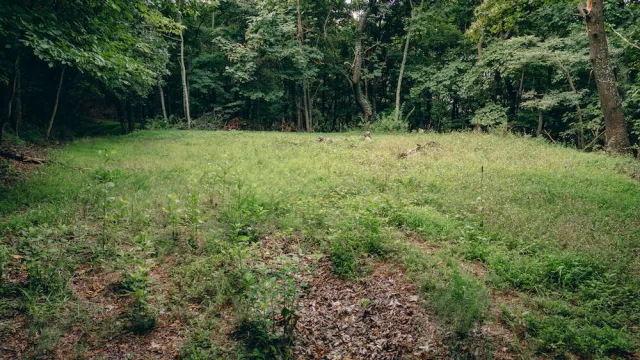 0 Crowell Gap RD, Boones Mill, VA, 24065