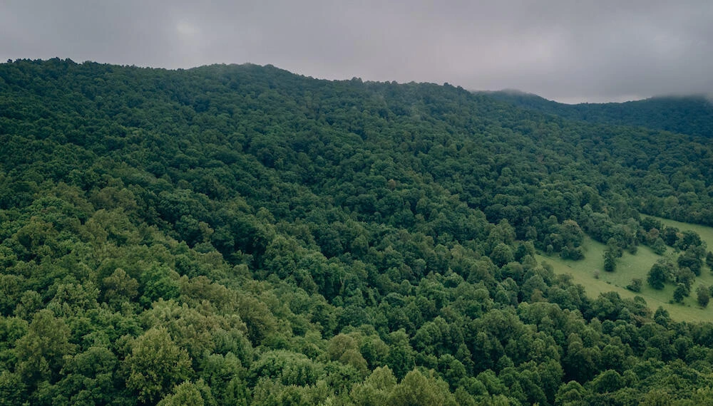0 Crowell Gap RD - Photo 3