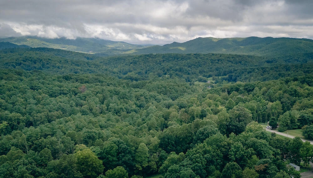 0 Crowell Gap RD - Photo 4