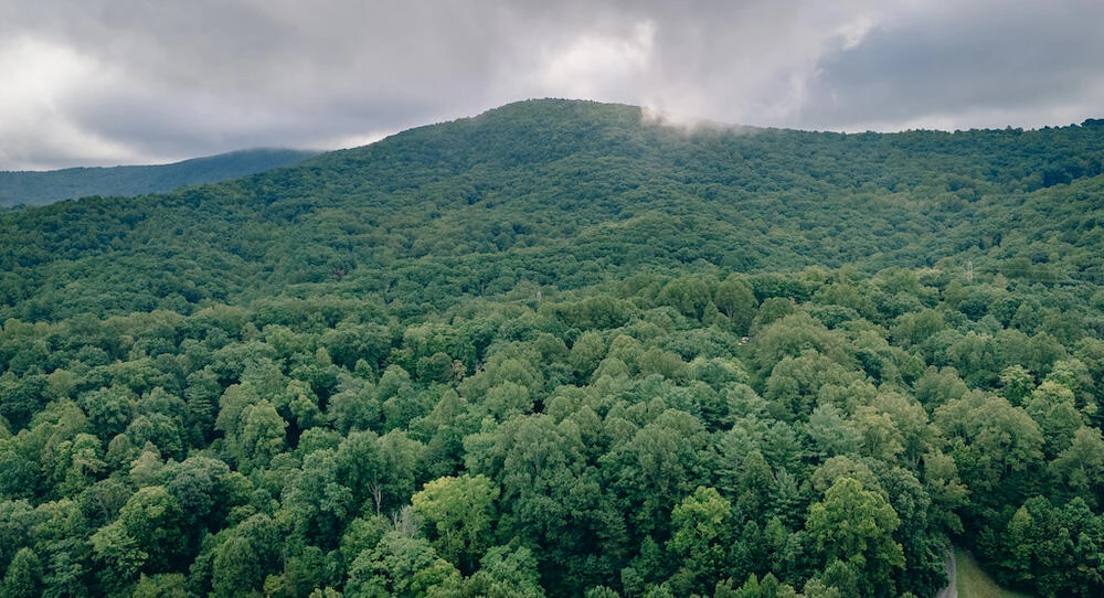 0 Crowell Gap RD - Photo 5