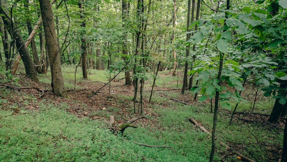 0 Crowell Gap RD - Photo 6