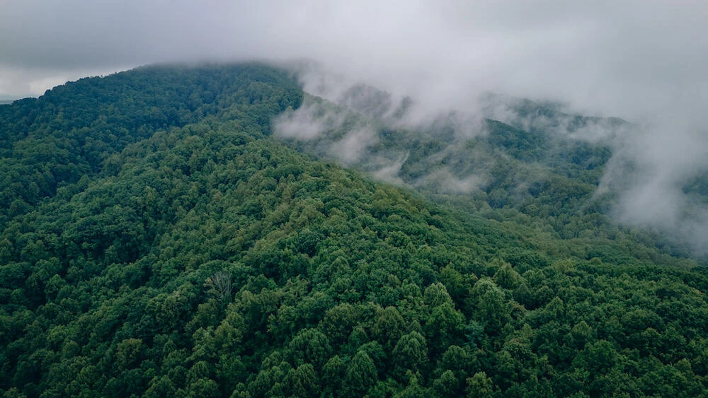 0 Crowell Gap RD - Photo 7