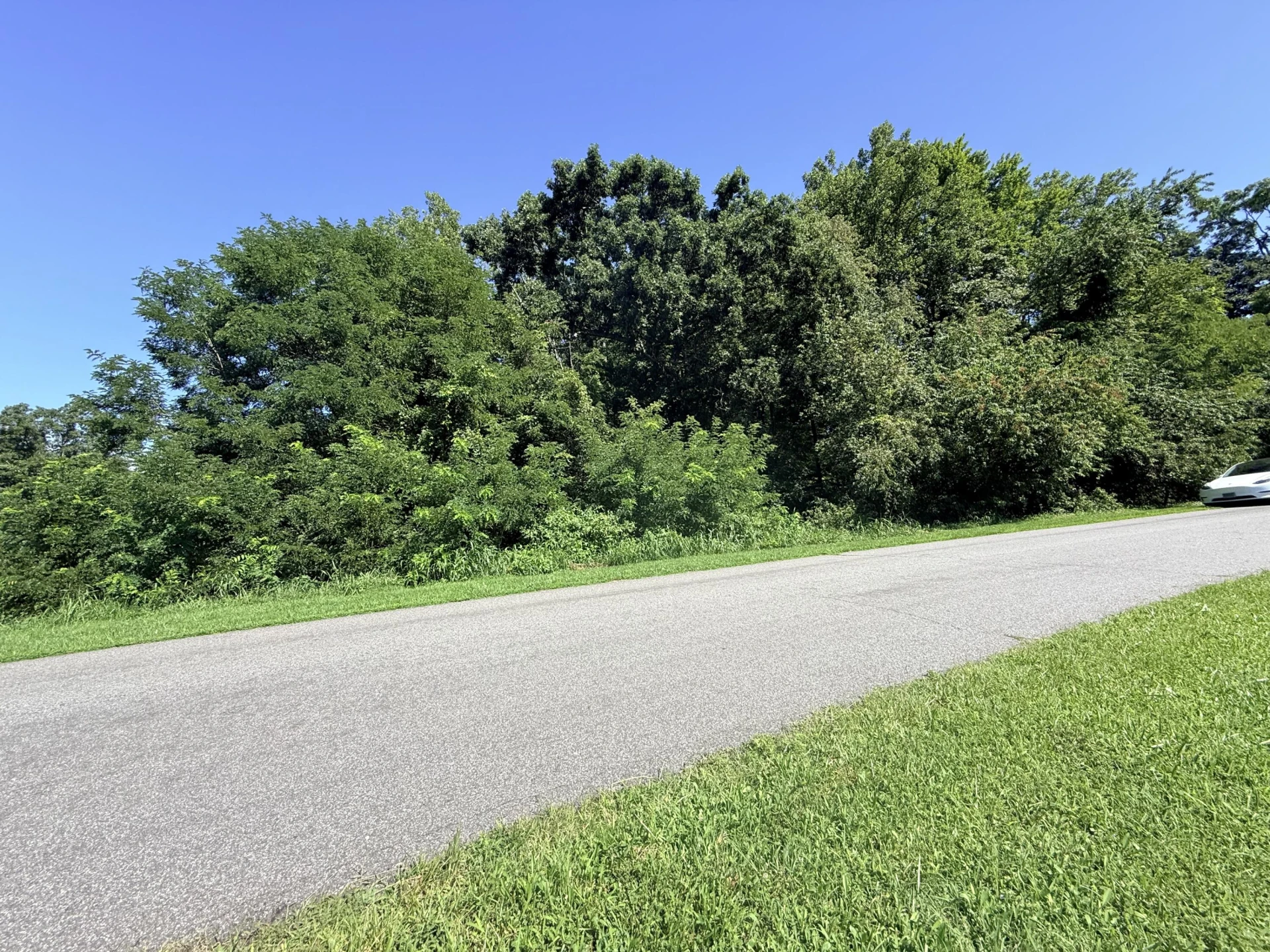 LOT 4 CREIGHTON DR - Photo 5