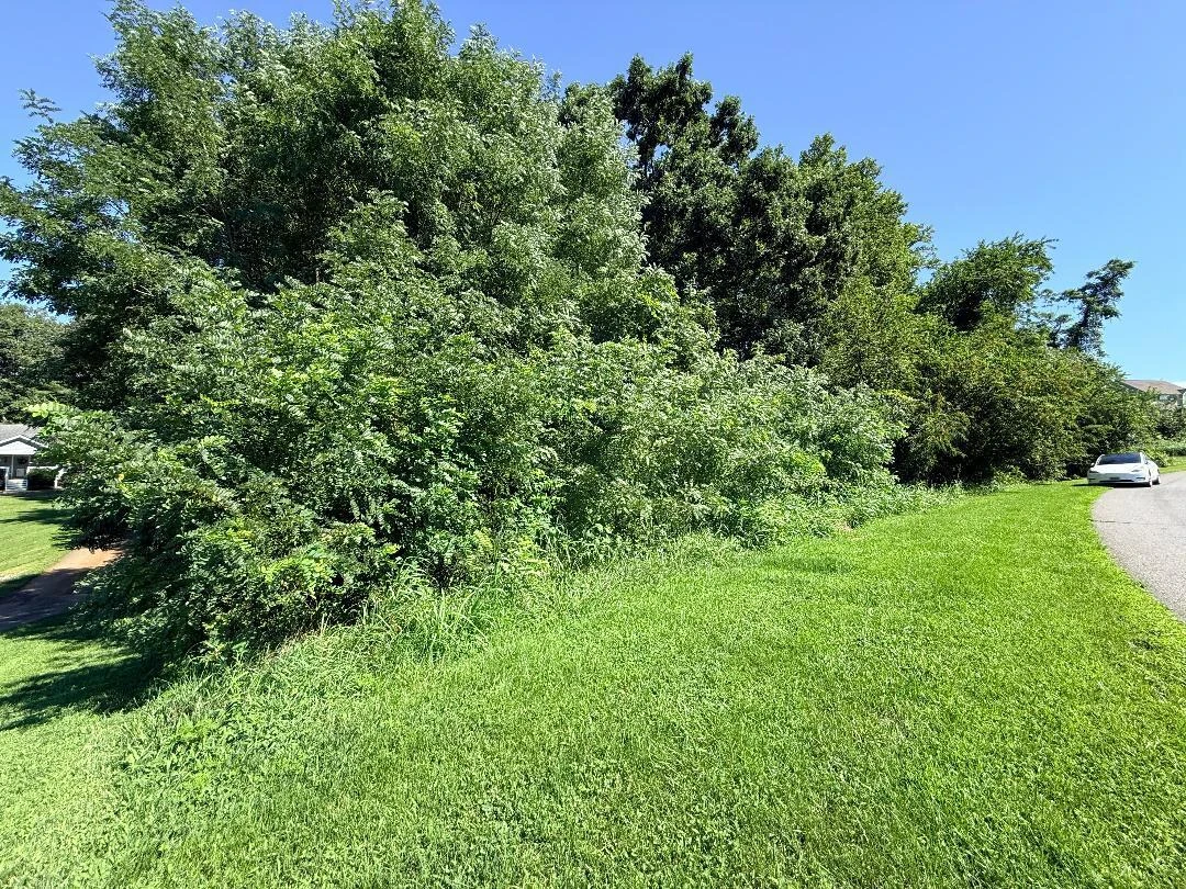 LOT 4 CREIGHTON DR - Photo 7