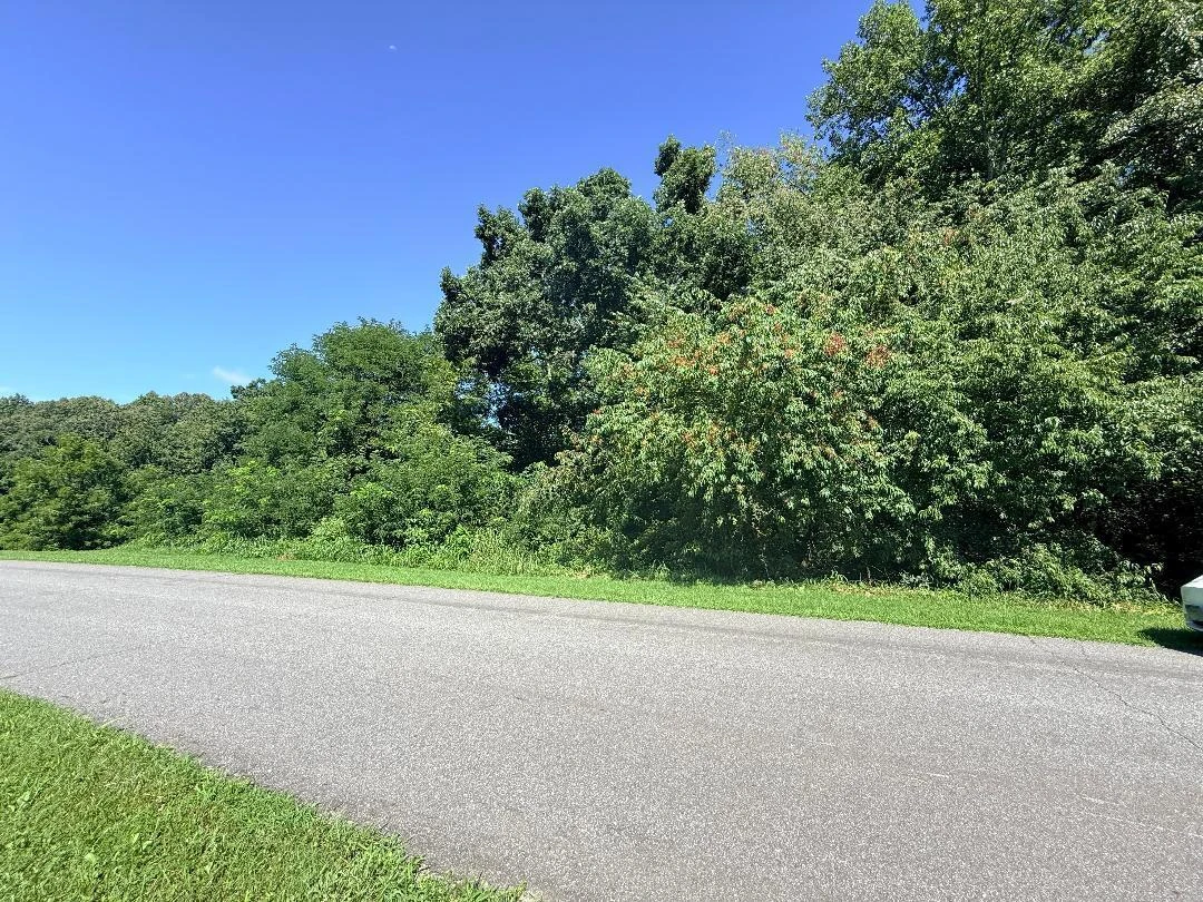 LOT 4 CREIGHTON DR - Photo 9