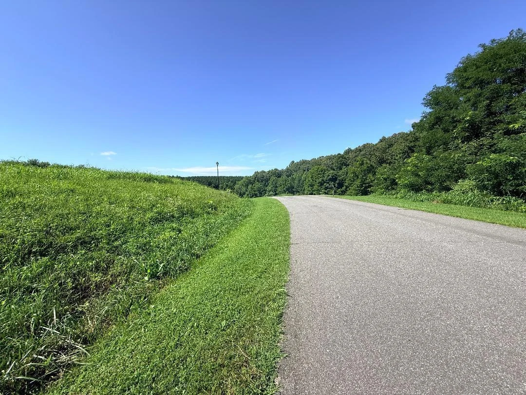 LOT 4 CREIGHTON DR - Photo 13