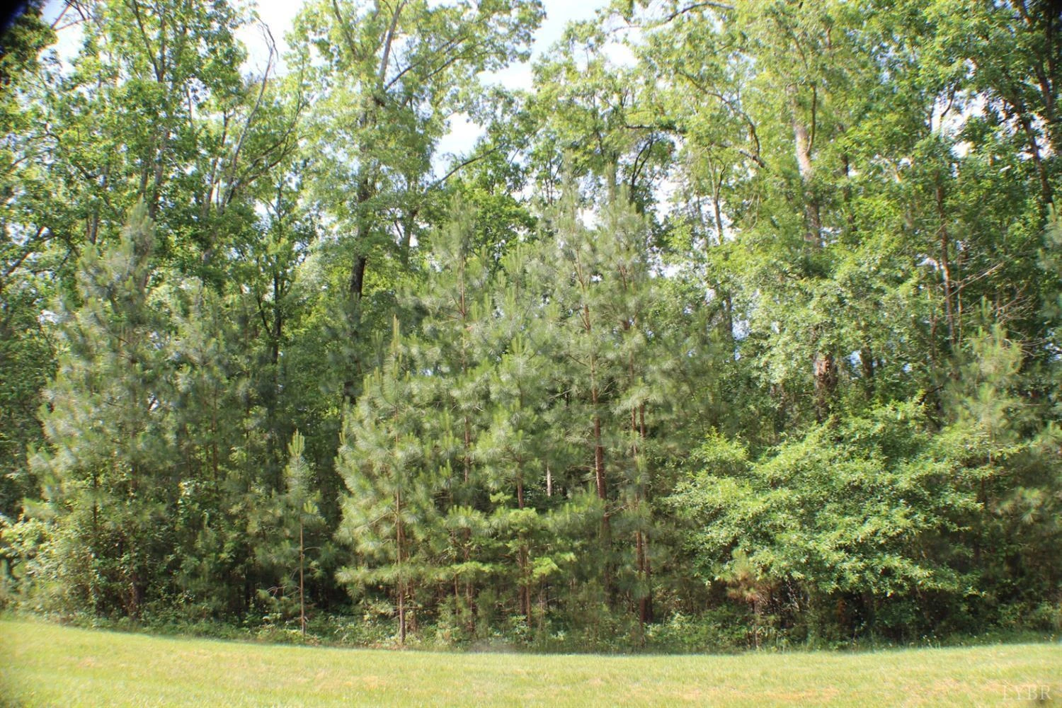 305 Runaway Bay RD - Photo 5