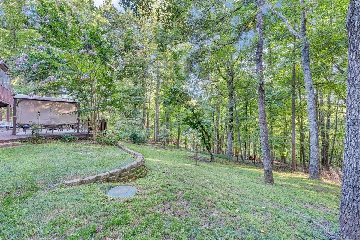 310 Saddleback TRL - Photo 50