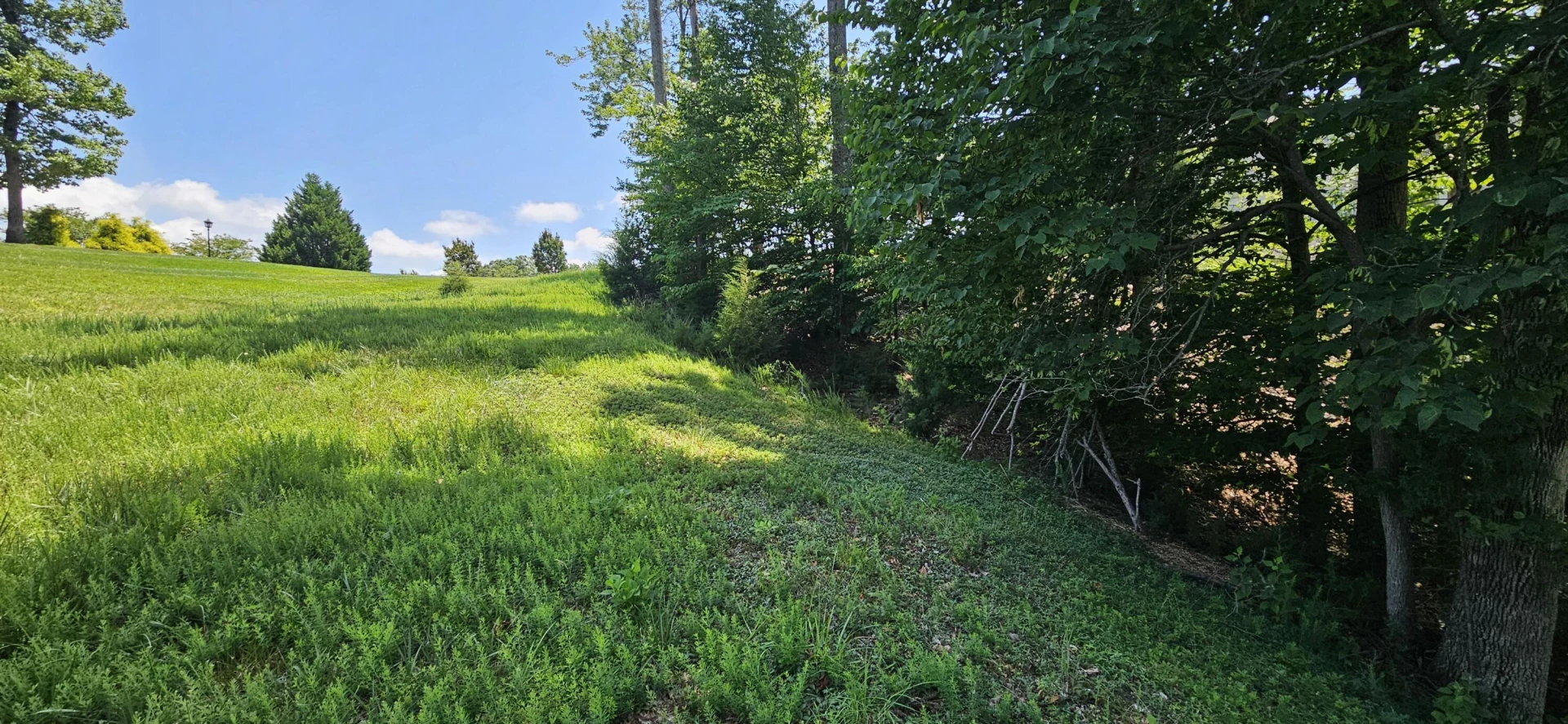 Lot 7 Compass Cove CIR - Photo 7